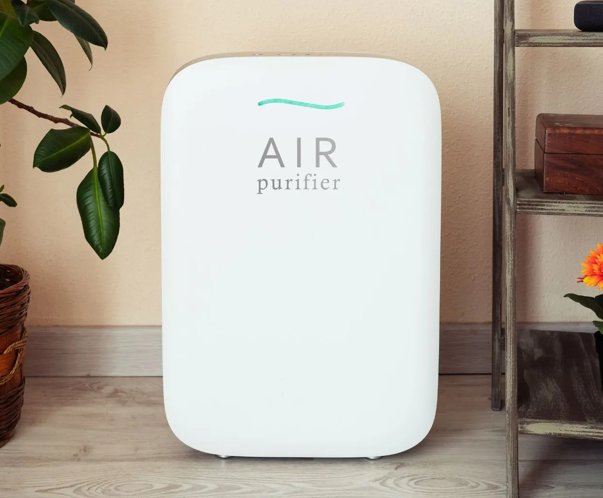 White rectangular air purifier with a teal light strip on a wood floor between a potted plant and a wooden shelf