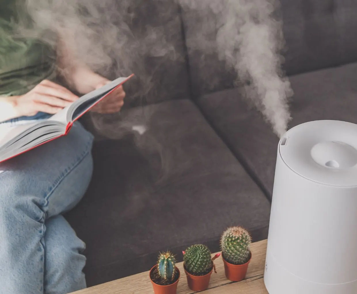 Person reading on a sofa next to a white humidifier releasing mist beside small cacti
