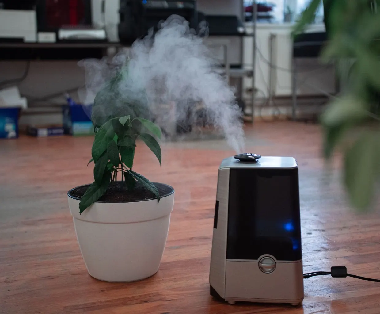 Silver and black humidifier releasing mist on a wooden floor next to a potted plant