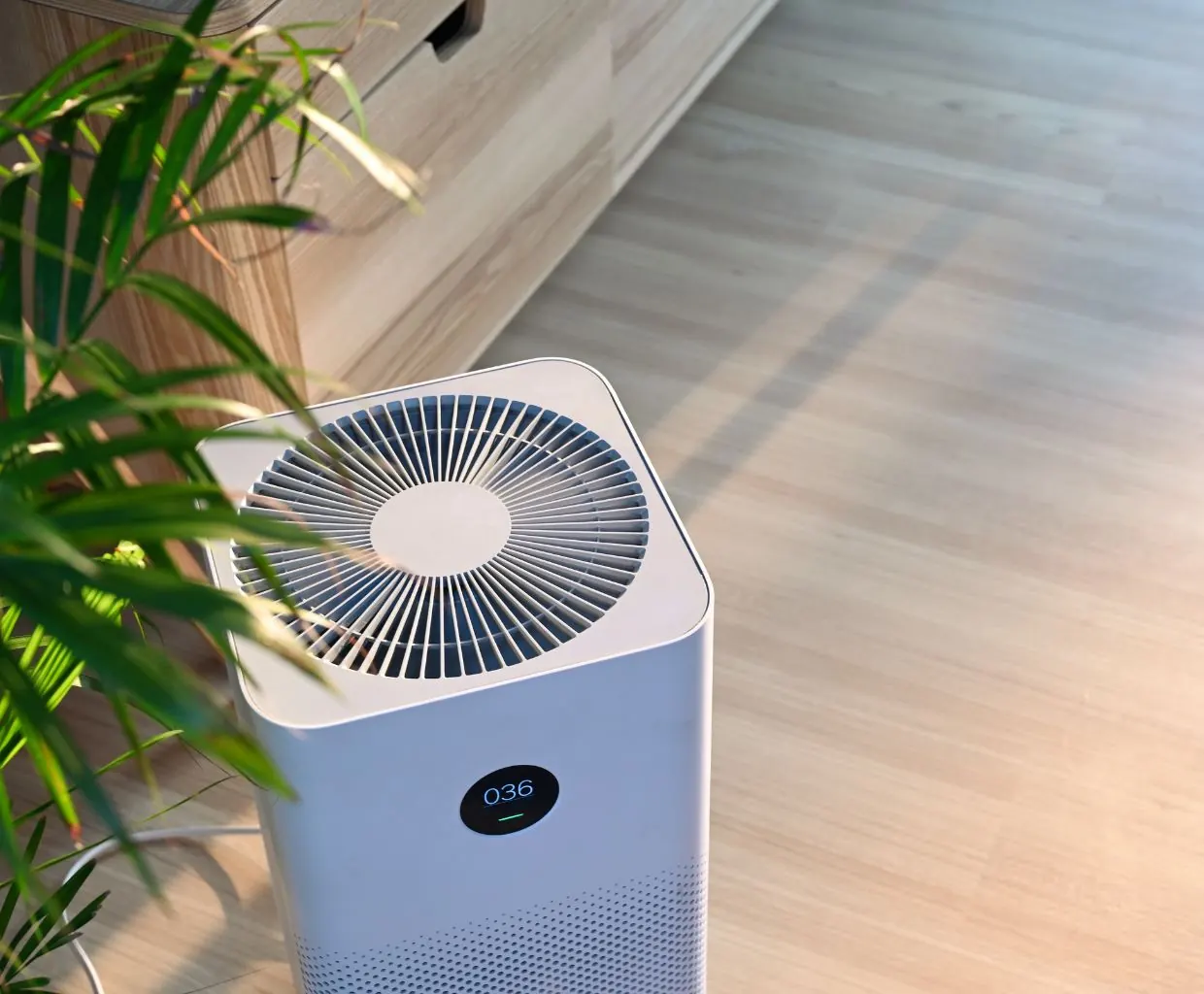 White square tower air purifier with a round display reading 036, next to a plant on a sunlit wood floor