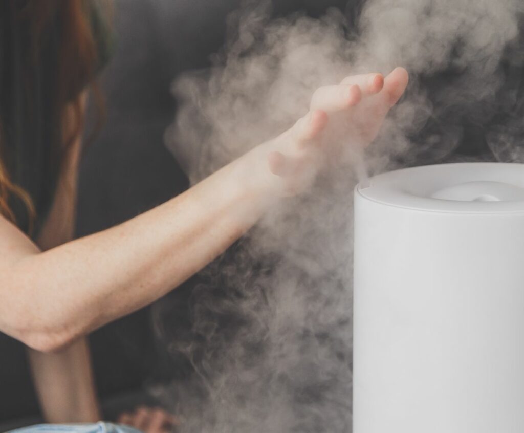 Air Purifier And Humidifier Combos