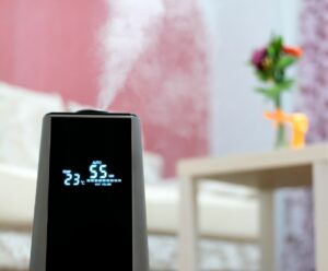 Best Air Purifier And Humidifier Combos
